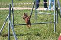 RoryAgility (10)